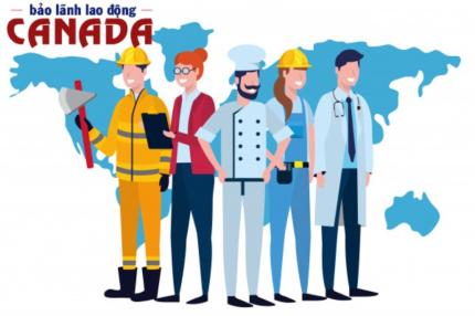 Bảo Lãnh Sang Canada Làm Việc: Điều Kiện, Hồ Sơ, Quy Trình