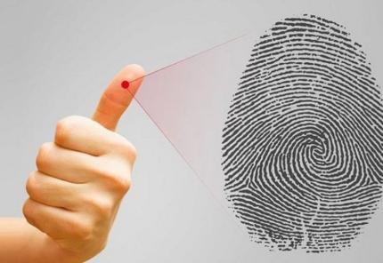 How Long After Biometrics Until You Get a Canada Visitor Visa?