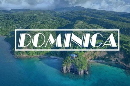 Dịch Vụ Xin Cấp Thị Thực Dominica Uy Tín Và Chuyên Nghiệp